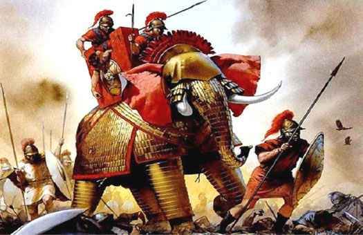 Seleucid war elephants
